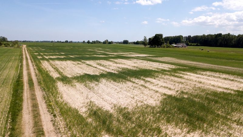 Baltic Agro: Kurzemē situācija ir kritiska