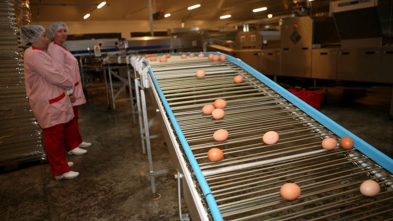 Balticovo tiks pie kompensācijas 143 tūkstošu latu apmērā