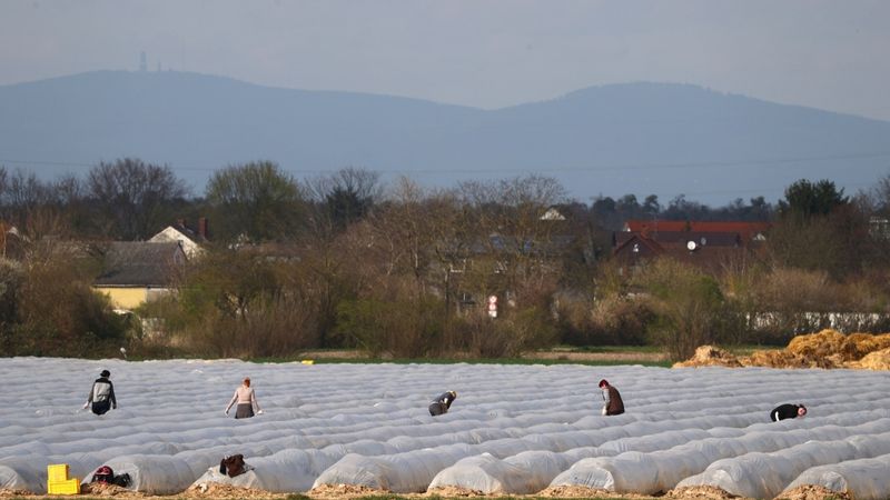 Vācija ielaidīs valstī sezonas viesstrādniekus