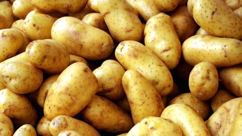 Kartupeļu audzētāji grib lojālus iepirkumus