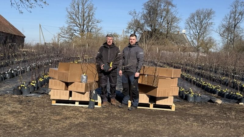 No mazdārziņa līdz klientiem Eiropā: stādaudzētavas “Heimanis” izaugsmes stāsts