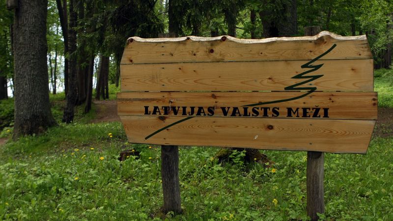 Dubulto iepirktās mežu platības