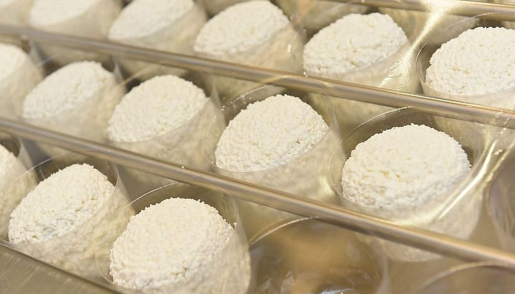 Jaunpils pienotavas apgrozījums pērn pieaudzis par 45,8%