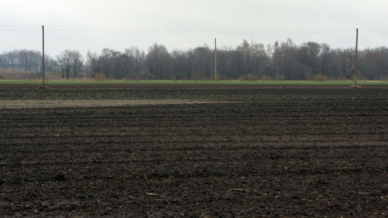 Novērsīs šaubas par substrātiem 