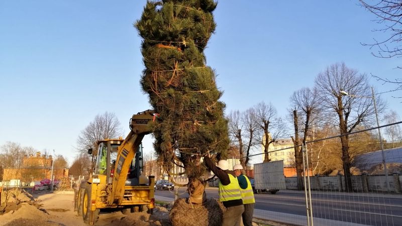 FOTO: Uzsāk ainaviska atpūtas parka izveidi Hanzas Perona teritorijā