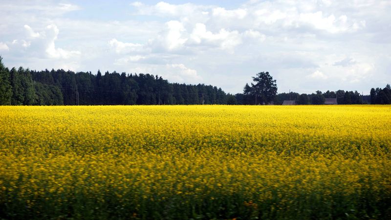 Pesticīdu aizliegums radīs riskus