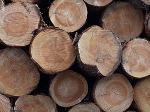Metsä Group pabeidz koksnes piegādes biznesa pārdošanu Latvijā