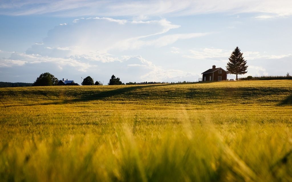 Foto: pixabay.com