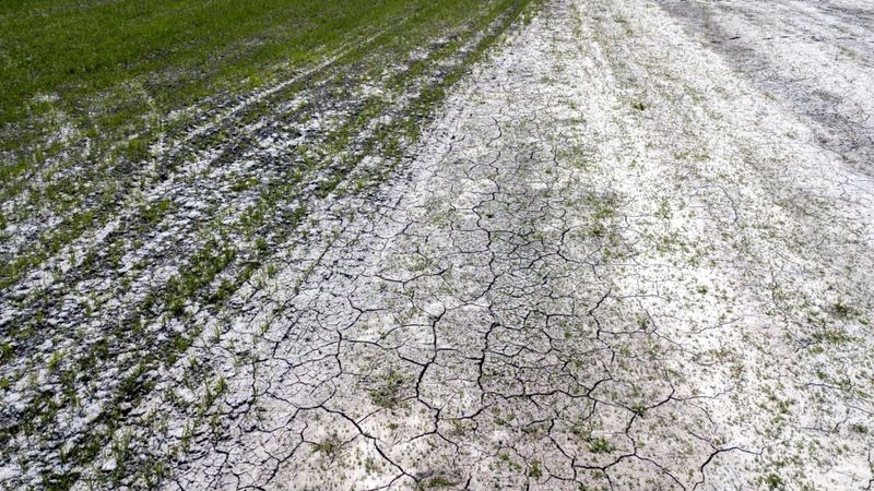 Dūklavs: Lauksaimnieki saprot, ka nevar nepārtraukti prasīt naudu par dabas radītiem zaudējumiem