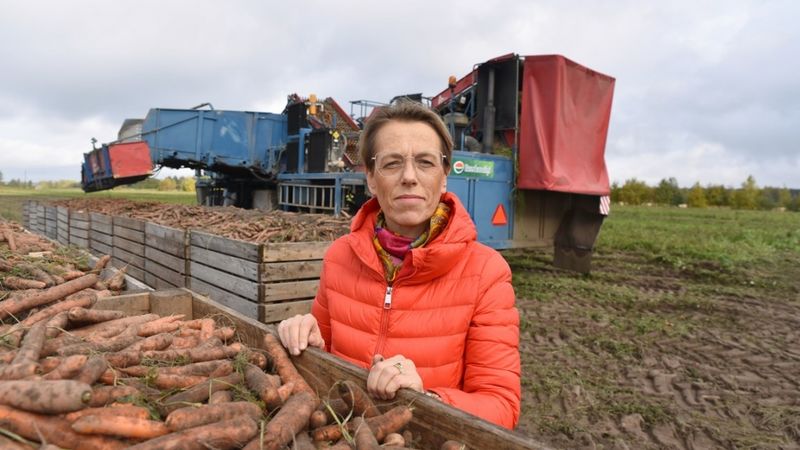 Paplašina pārstrādāto dārzeņu klāstu