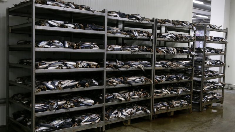 Saistībā ar Krievijas embargo atbalstu varētu saņemt 15 zivju konservu ražotāji