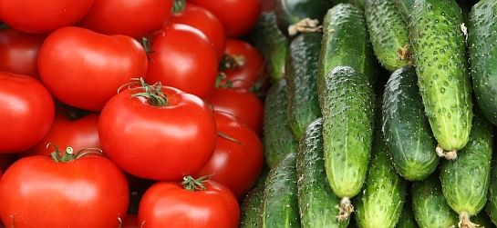 Jaunizveidotais pārtikas ražotājs Balt kit plāno ieguldīt 4,8 miljonus latu ražošanas sākšanā