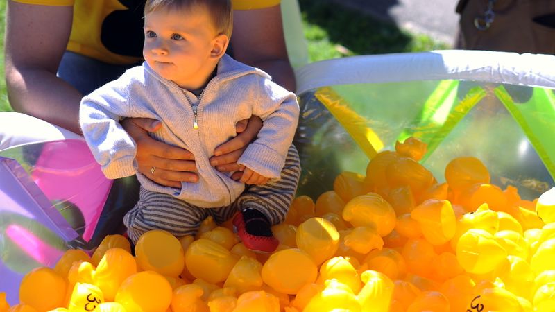 Viņķele: ģimenes pabalstu atkarībā no ienākumiem varētu ieviest 2015. gadā