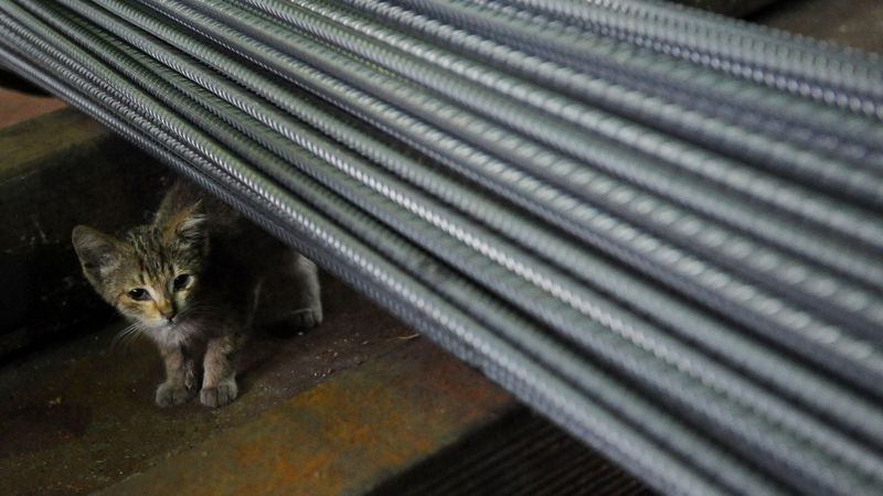 Liepājas metalurgs prasa tiesisko aizsardzību