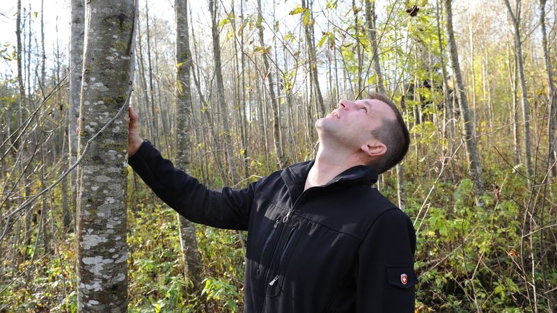 Alksnis var dot labu peļņu