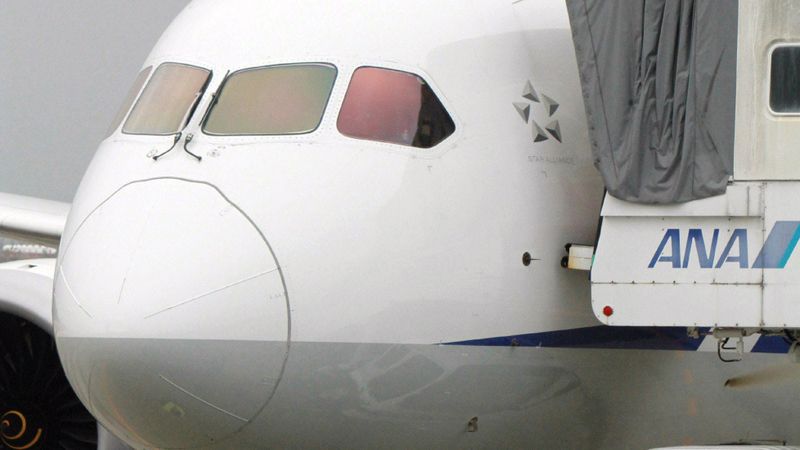 Pasaules regulatori liek pārtraukt lidojumus ar Dreamliner