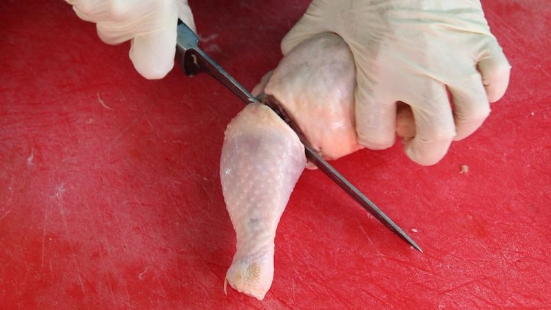 Putnu gaļas piegādātāju produkcijā konstatētas salmonellas