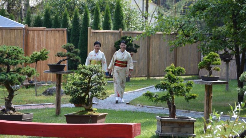 FOTO: Latvijas Bonsai parks ļauj aizbēgt no steidzīgās ikdienas