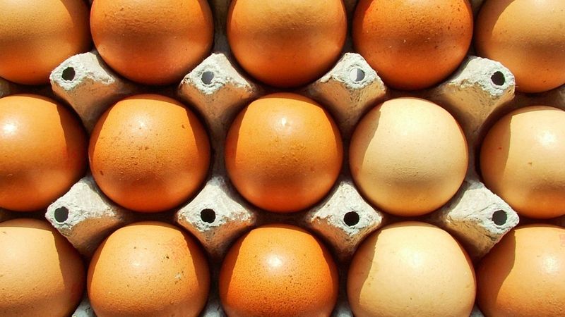 Arī Stockmann atteiksies no sprostos dētu olu tirdzniecības