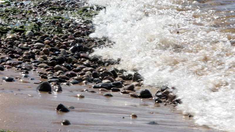 Lašu audzētājiem plāno iznomāt platības Baltijas jūrā; rada bažas ekologiem