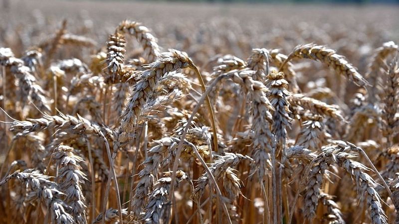 Lauksaimniecības tehnikas līzinga tirgus krities par 50%