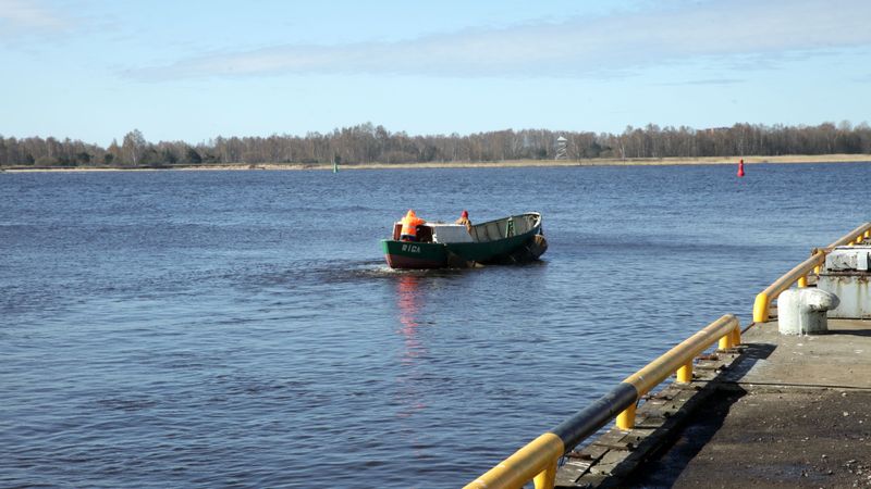 Daugavas baseinā ielaisti 300 lašu mazuļi