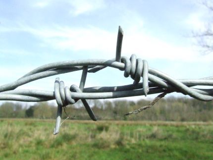EuroCop draud izslēgt Latviju no Šengenas zonas
