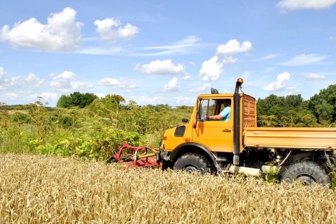Ar latvāņiem cīnās Rundāles novada pašvaldība