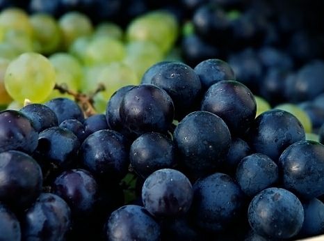 No veikaliem Maxima, Elvi un Stockmann izņem piesārņotas vīnogas