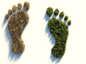 CO2 emisijas spiedīs mainīt zemes apsaimniekošanu