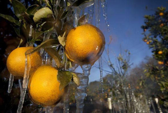 Foto: REUTERS/SCANPIX