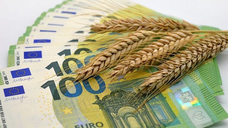 Krievijas graudaugu tranzīts caur Latviju deviņos mēnešos samazinājies 4,3 reizes