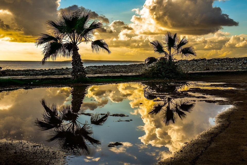 Foto: pixabay.com