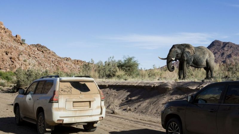 Toyota Landcruiser meklē piedzīvojumus Namībijā
