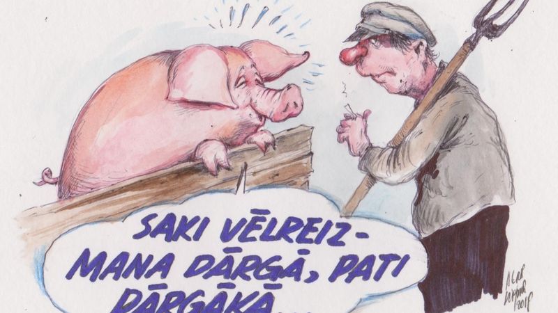 DB karikatūra