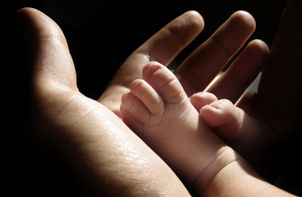 Foto: freeimages.com