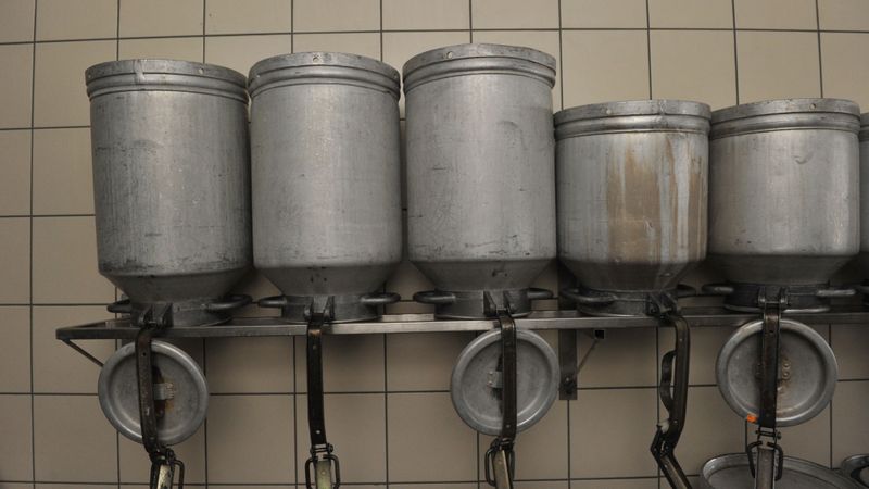 Piensaimnieki aicinās Briseli veidot buferzonu Baltijā; Latvijā jābūvē piena pulvera rūpnīca