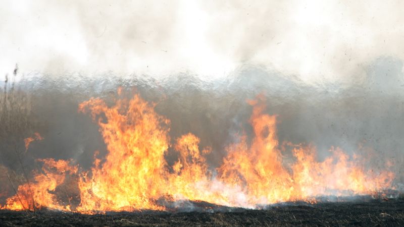 Sasniegts jauns kūlas dedzināšanas rekords: pirmdien dzēsti 187 kūlas ugunsgrēki