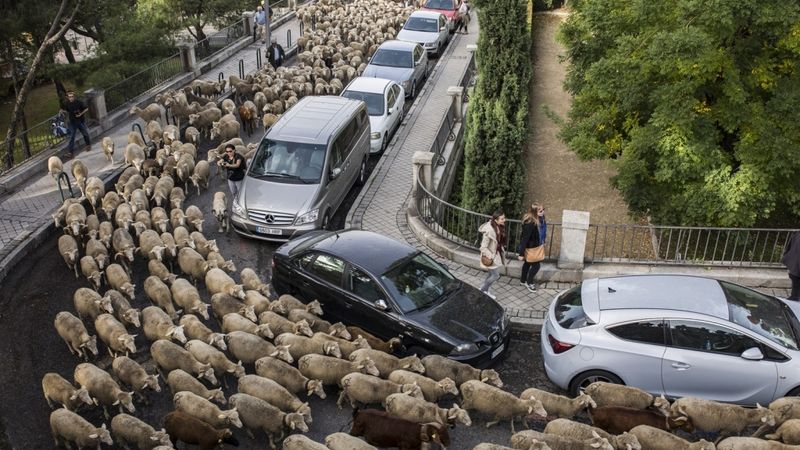 FOTO: Aitas pārņem Madrides ielas