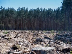 Biedē Atmežošanas regulas migla