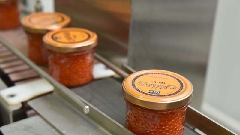 Ikru ražotāja Sudrablīnis īpašnieks līdzdibinājis Sudrablīnis holdings