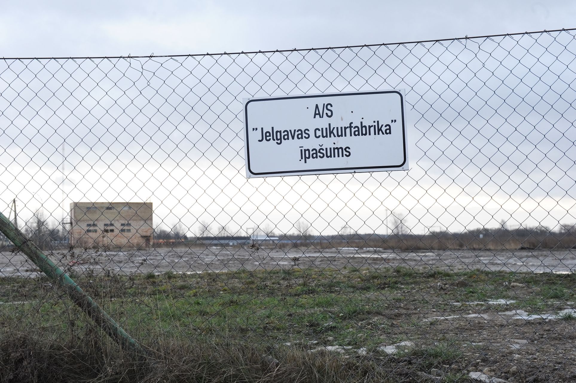 Foto: Vitālijs Stīpnieks, Dienas Bizness