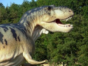 Krāslavas novada domes priekšsēdis: atskaitē uzrakstījām, ka pagastā ir dinozaurs