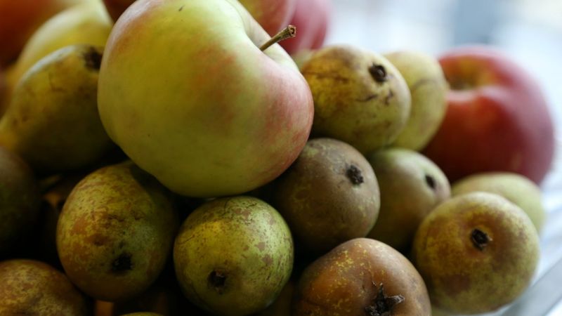 PVD pieķer dārzeņu piegādātāju, kas maldinājis par izglītības iestādēm domāto produktu izcelsmi