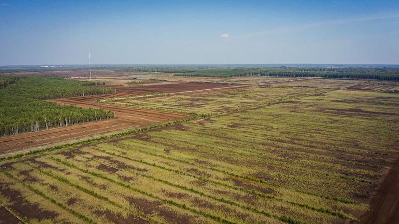 Laflora Kaigu purvam lielāks oglekļa uzkrāšanās potenciāls globālā salīdzinājumā