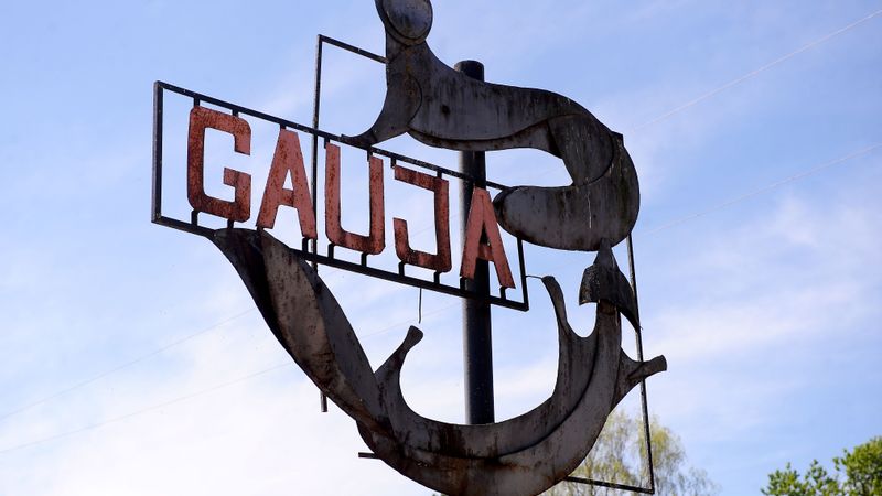 Gauja AB  zaudējumi
