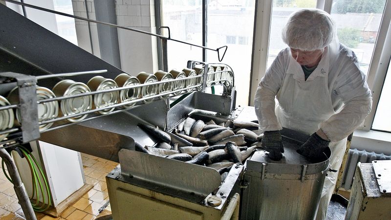 Krievijas dēļ zivrūpnieki sajūt bankrota vēsmas