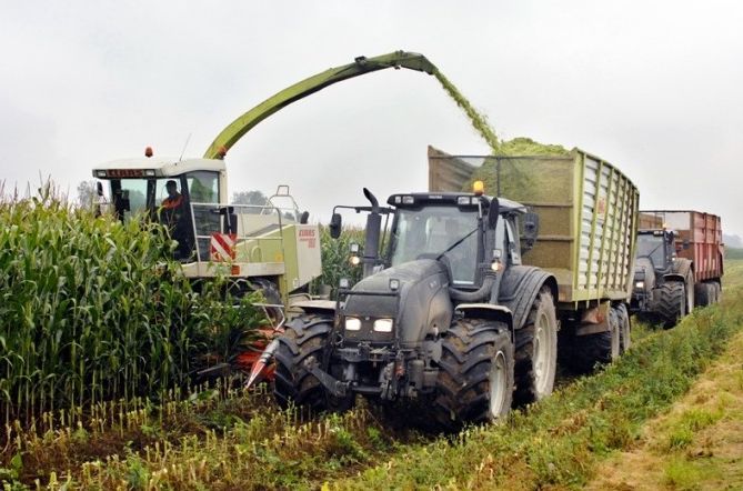 Foto: Ivars Bogdanovs