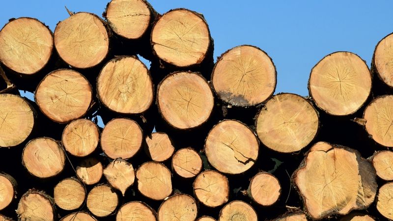 Deviņu mēnešu laikā IKP samazinājies par 4,3 %