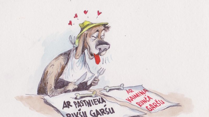 DB karikatūra